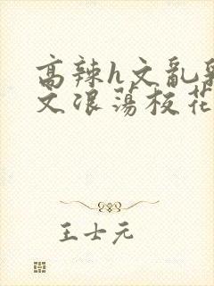 高辣h文乱乳h文浪荡校花小说封面