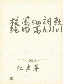 校园sm调教(纯肉高h)1v1