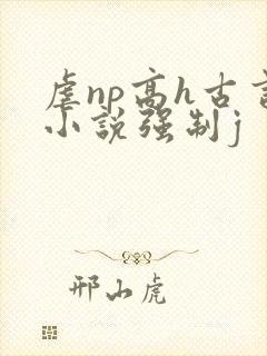 虐np高h古言小说强制j