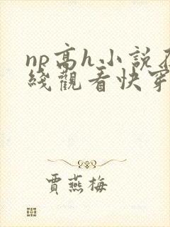 np高h小说在线观看快穿封面