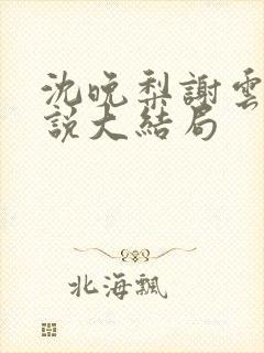 沈晚梨谢云迟小说大结局