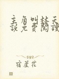 主角叫林天的小说免费阅读