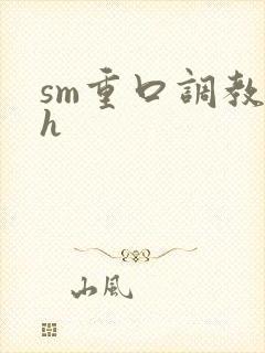 sm重口调教高h