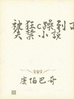 被狂c躁到高潮失禁小说