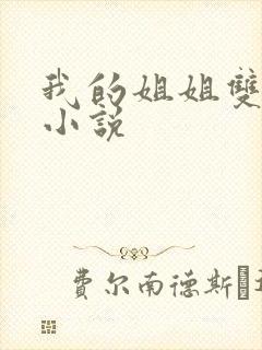 我的姐姐双女主小说