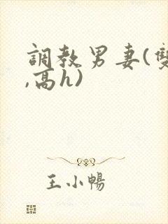 调教男妻(双性,高h)