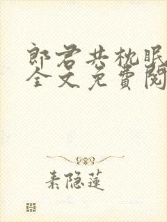 郎君共枕眠小说全文免费阅读