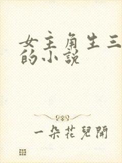 女主角生三胞胎的小说封面