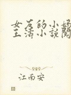 女友的小妈妈凤王涛小说阅读