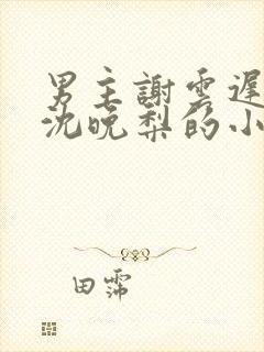 男主谢云迟女主沈晚梨的小说免费阅读