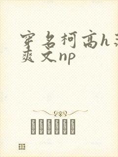 穿名柯高h荡肉爽文np封面