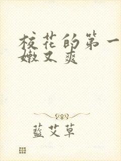 校花的第一次又嫩又爽