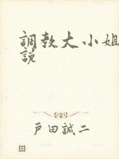 调教大小姐的小说