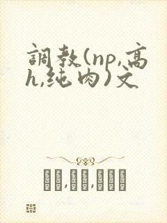 调教(np,高h,纯肉)文