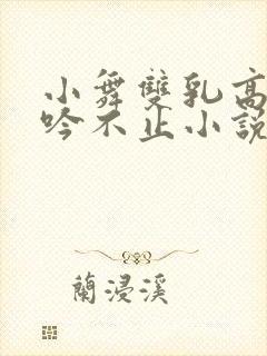 小舞双乳高耸呻吟不止小说