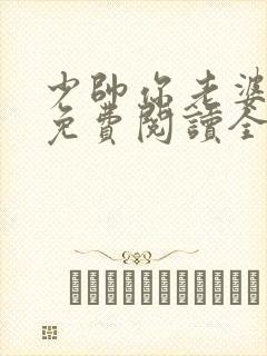 少帅你老婆跑了免费阅读全文