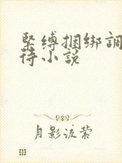 紧缚捆绑调教虐待小说封面