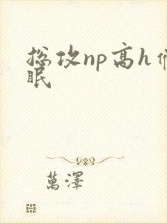 总攻np高h催眠封面