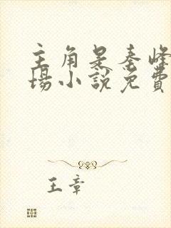 主角是秦峰的官场小说免费阅读