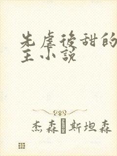 先虐后甜的双男主小说封面