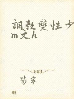 调教双性少年sm文h