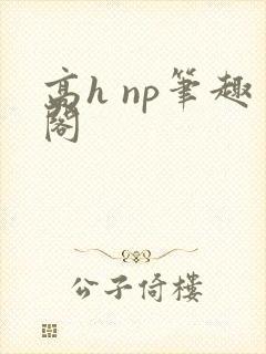 高h np笔趣阁