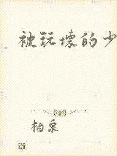 被玩坏的少女封面