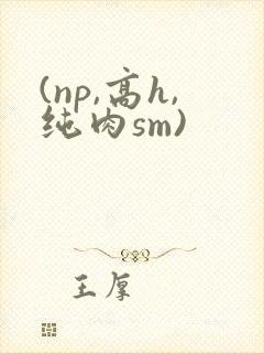 (np,高h,纯肉sm)