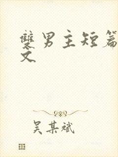 双男主短篇高干文封面