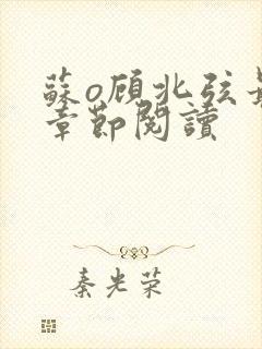 苏o顾北弦最新章节阅读封面