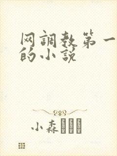 网调教第一次m的小说
