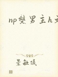 np双男主h文