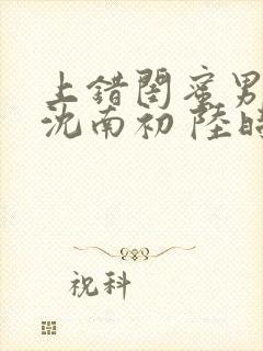 上错闺蜜男友 沈南初 陆时砚