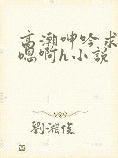 高潮呻吟求饶h嗯啊h小说封面