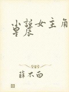 小说女主角叫沈星辰