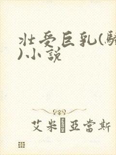 壮受巨乳(骚受)小说封面