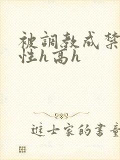 被调教成禁脔双性h高h