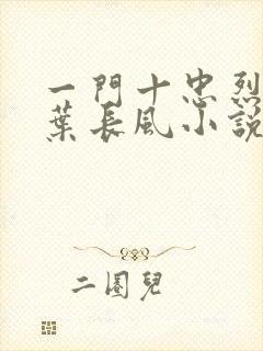 一门十忠烈叶凡叶长风小说名字
