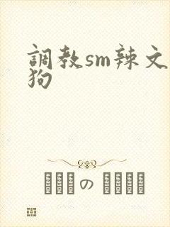调教sm辣文母狗封面