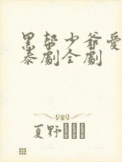 黑帮少爷爱上我泰剧全剧