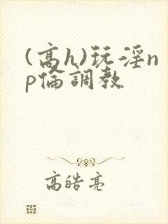 (高h)玩淫np伦调教封面