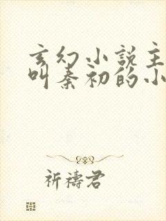 玄幻小说主人公叫秦初的小说