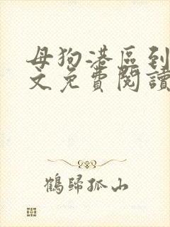 母狗港区到哪全文免费阅读笔趣阁最封面