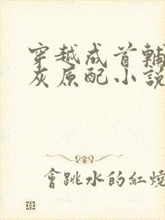 穿越成首辅的炮灰原配小说免费阅读