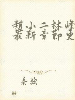 赵小二林峰宁欣最新章节更新小说