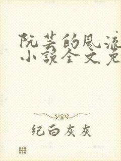 阮芸的风流人生小说全文免费阅读封面