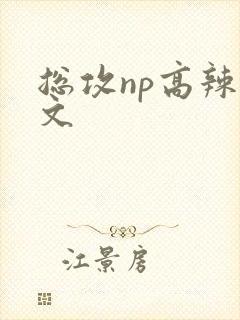 总攻np高辣h文