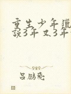 重生少年猎美小说3年又3年txt