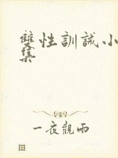 双性训诫小说合集