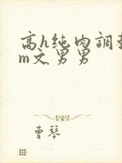 高h纯肉调教sm文男男